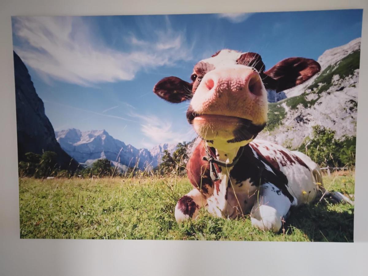 Zuhause In Hofs ,Leutkirch Im Allgaeu ภายนอก รูปภาพ